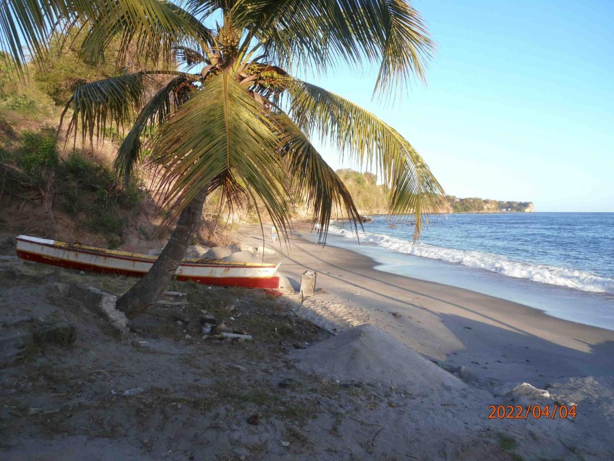 The Pink House Villa Choiseul Exterior photo