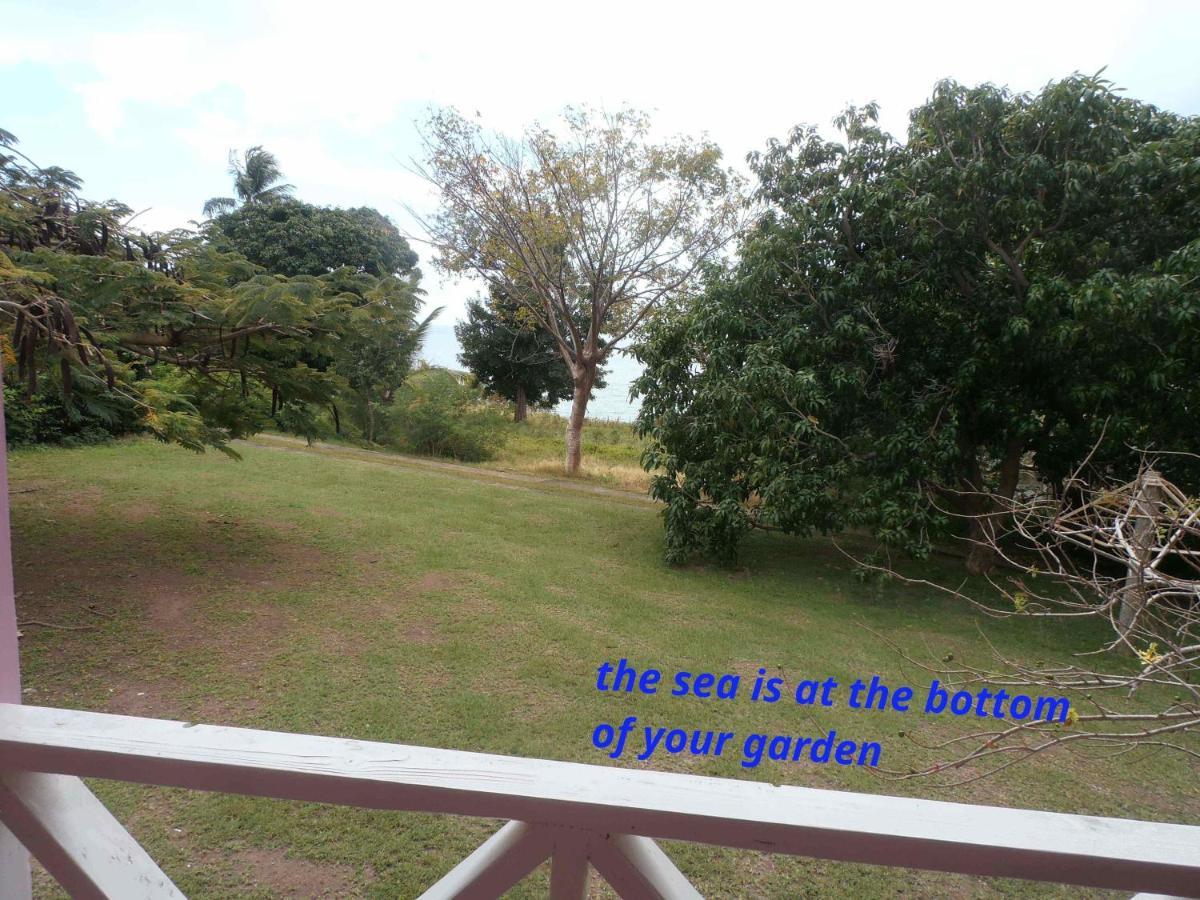 The Pink House Villa Choiseul Exterior photo